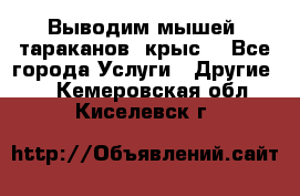 Выводим мышей ,тараканов, крыс. - Все города Услуги » Другие   . Кемеровская обл.,Киселевск г.